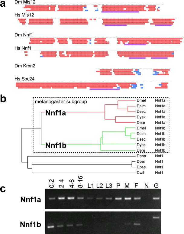 Fig. 4