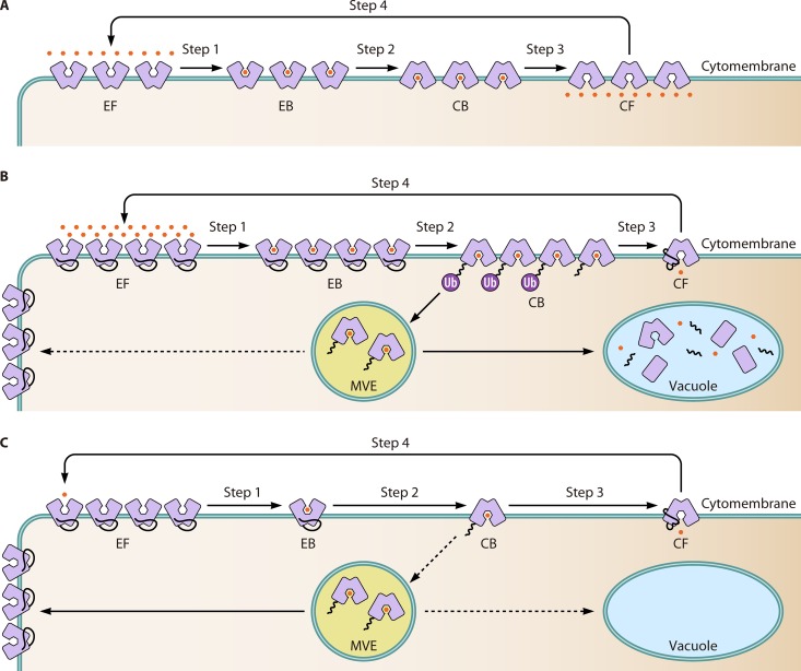 FIG 4