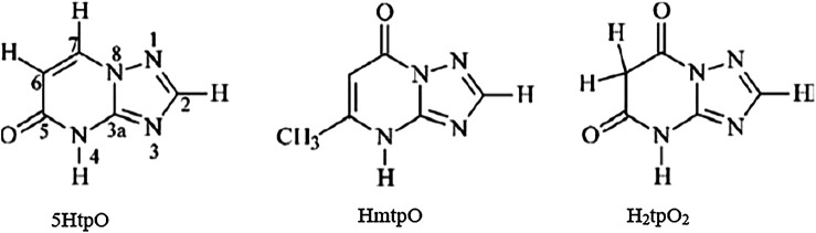 SCHEME 6