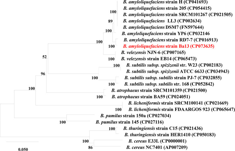 FIG 3