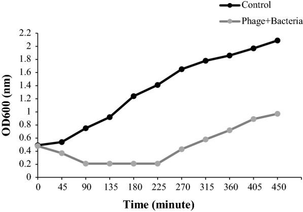 Fig. 10