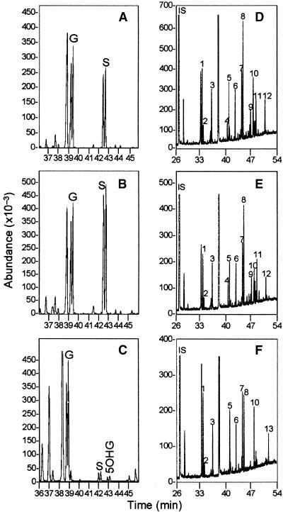 Figure 7.