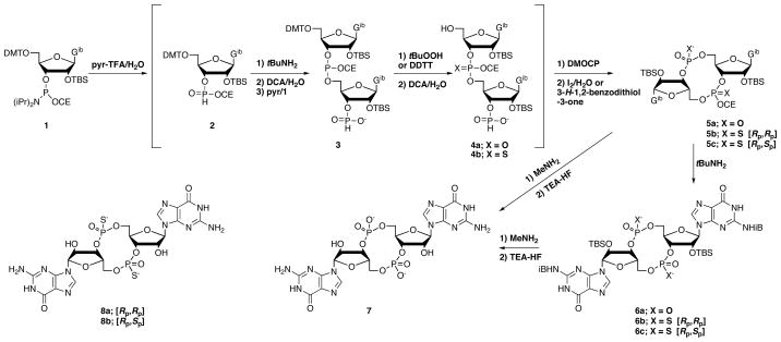 Scheme 1