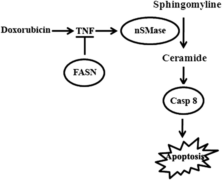 Fig. 8.