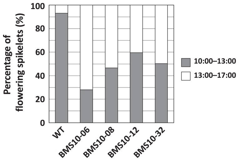 Fig. 7