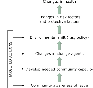 This flowchart shows the Racial and Ethnic Approaches to Community Health (REACH) 2001 model adapted by the Southwest Center for Community Health Promotion. Arrows show a hierarchy of six factors, starting at the bottom with "Community awareness of issue." Second from the bottom is "Develop needed community capacity." Third is "Changes in change agents." Fourth is "Environmental Shift (i.e., policy)." Fifth is "Changes in risk factors and protective factors." Sixth, and at the top of the list of factors is "Changes in health." Targeted actions take place at the lower four levels, beginning with "Community awareness of issues" and ending with "Environmental shift (i.e., policy). Arrows point from "Targeted Actions" to these four factors.