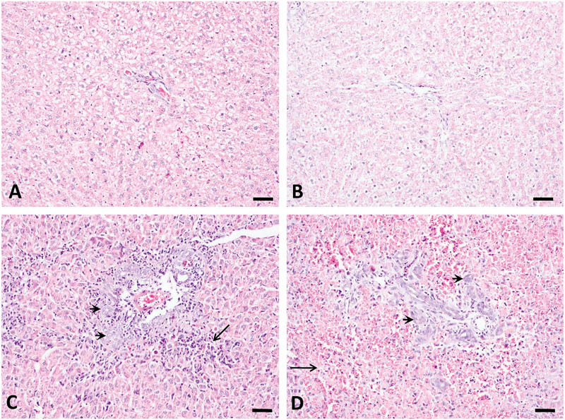 Figure 2.—