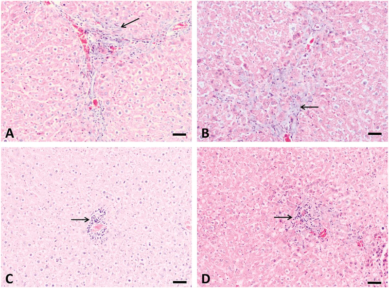 Figure 3.—