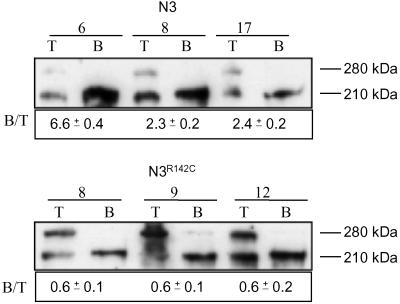 Fig 2.