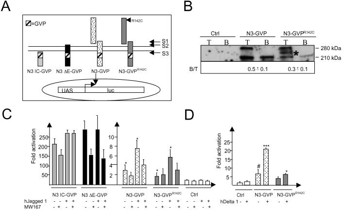 Fig 4.