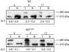 Fig 2.