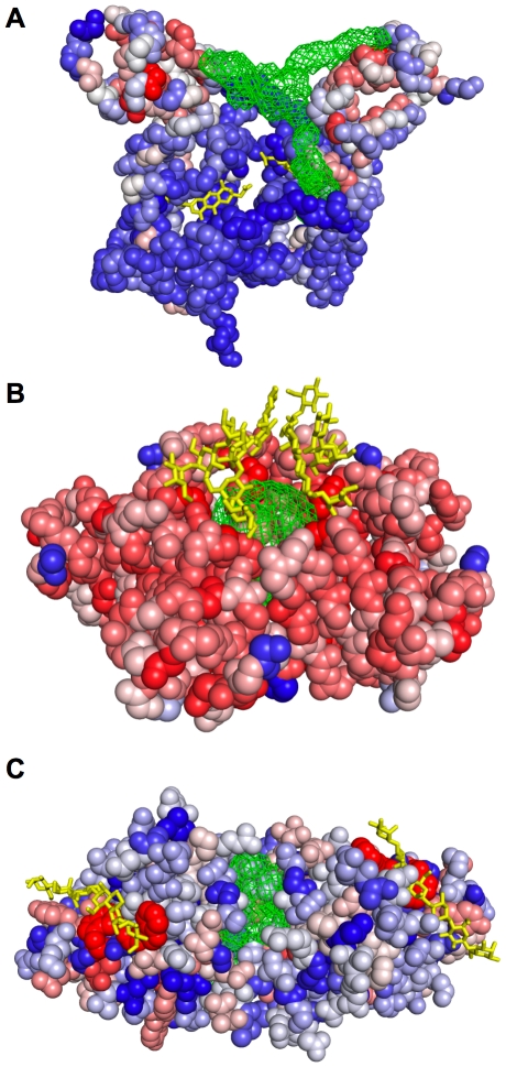 Figure 7