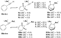 Scheme 5