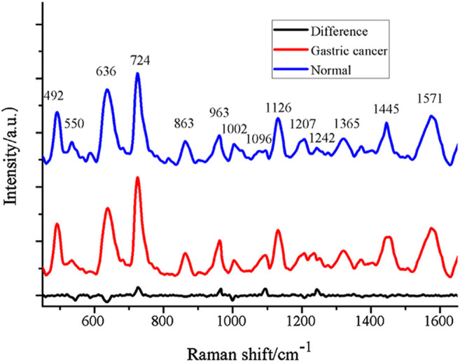 FIGURE 4