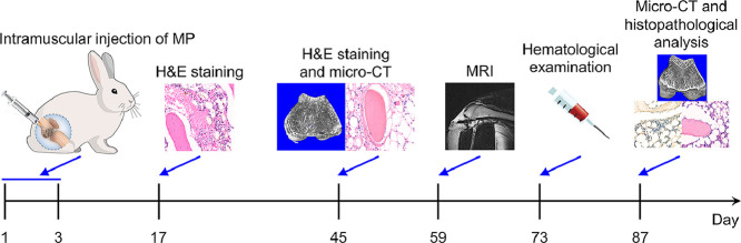 Image, graphical abstract