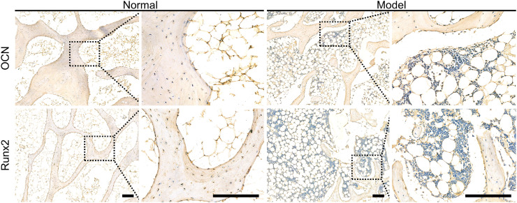 Fig 5