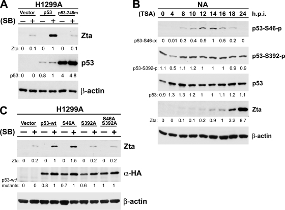 FIG. 4.