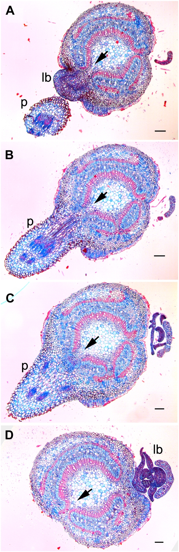 Figure 6.