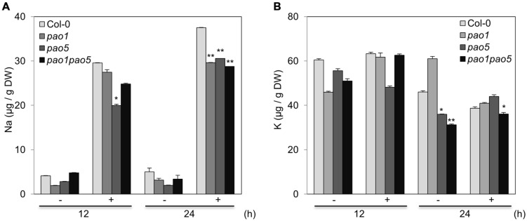 FIGURE 3