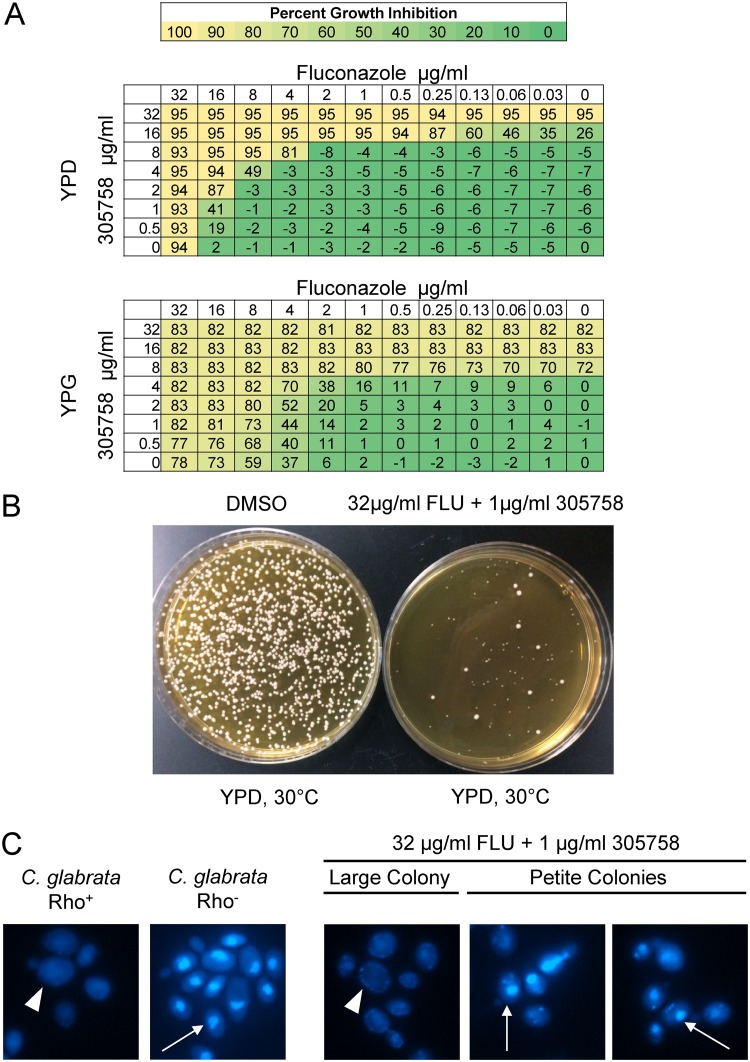 FIG 9