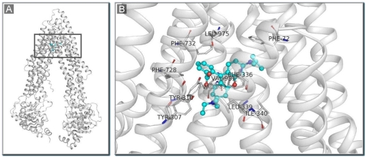 Figure 6