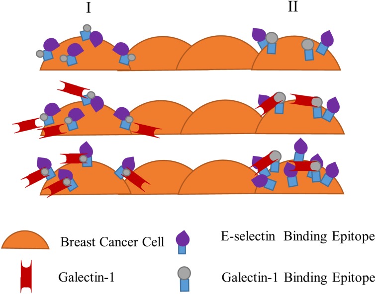 Figure 10