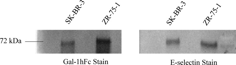 Figure 5