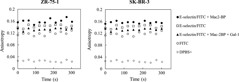 Figure 6