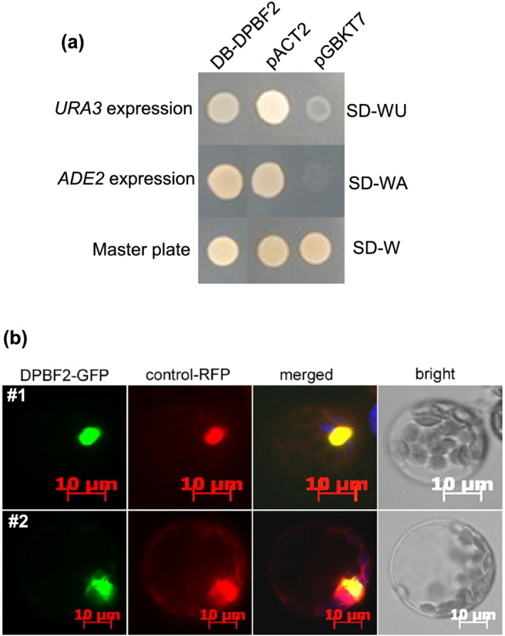 FIGURE 3