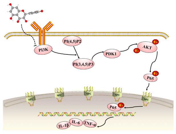 Figure 9