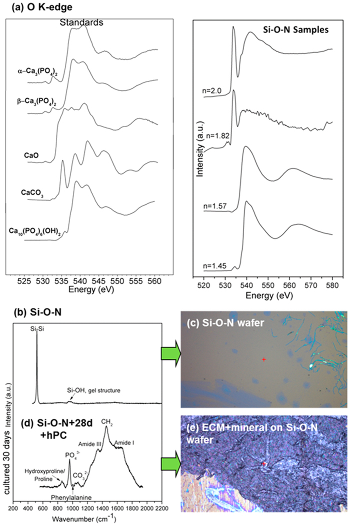 Figure 10.