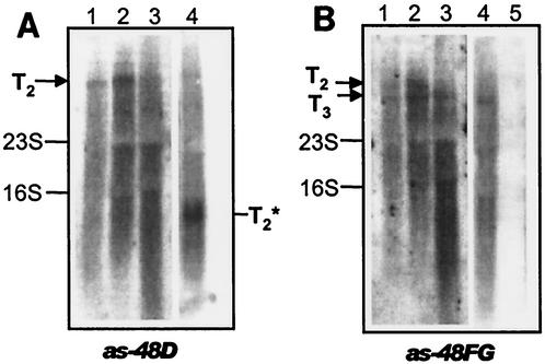 FIG. 4.