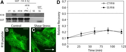 Figure 10.