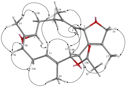 Figure 8