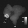 Figure 3b: