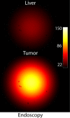 Figure 5d: