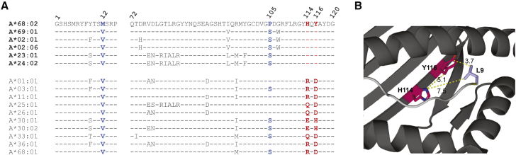 Figure 5