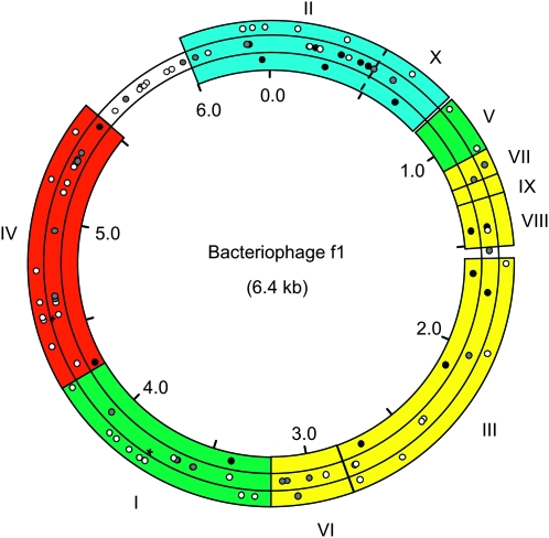 Figure 1.—