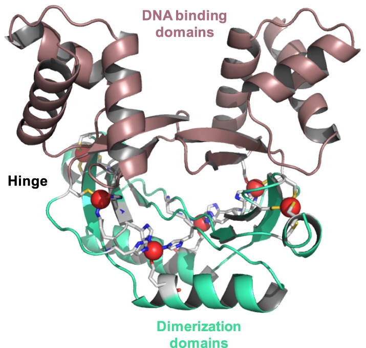 Figure 3.