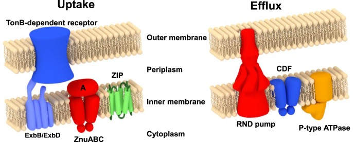 Figure 1.