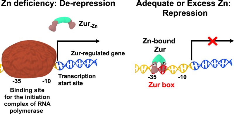 Figure 2.