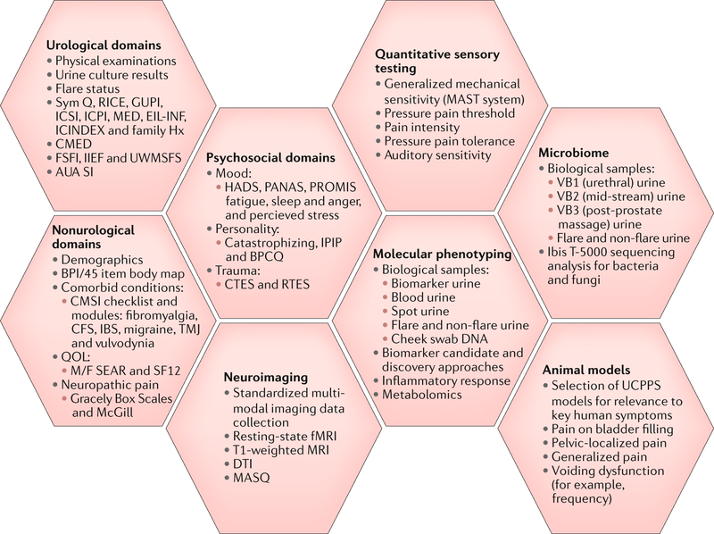 Fig. 2 |