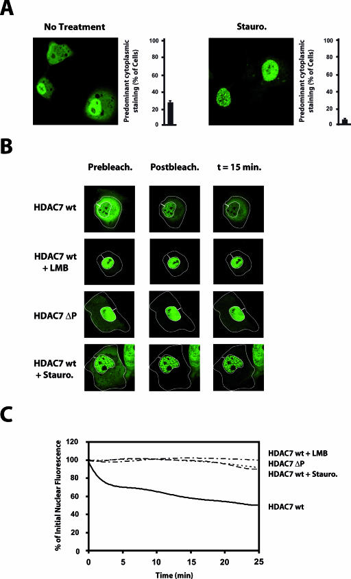 FIG.2.