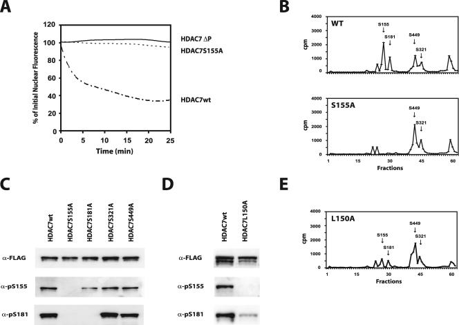 FIG. 9.