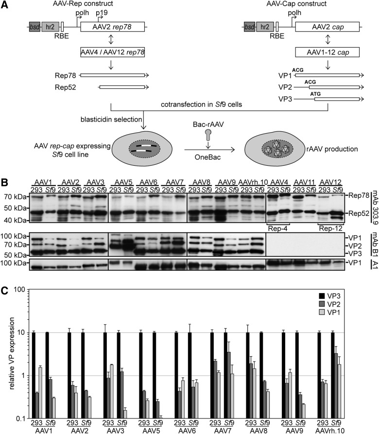 FIG. 1.