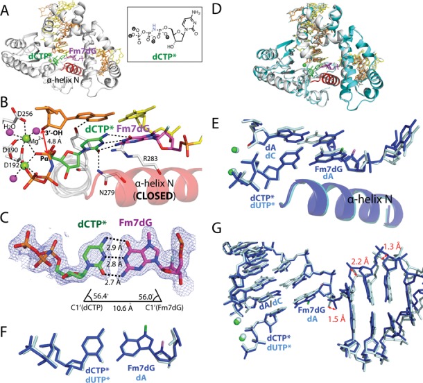 Figure 4.