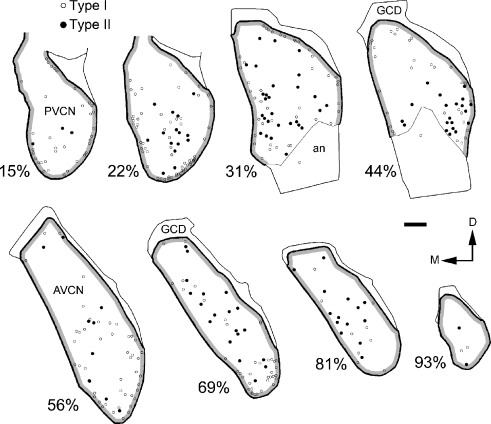 FIG. 6