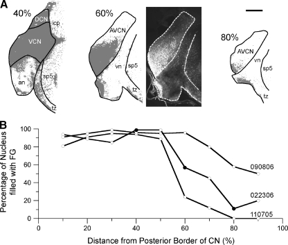 FIG. 1