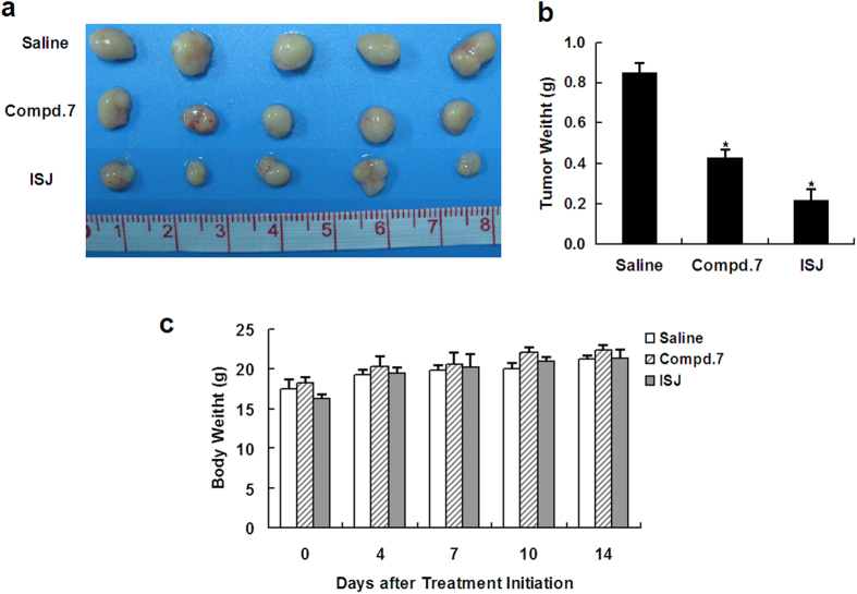 Figure 7