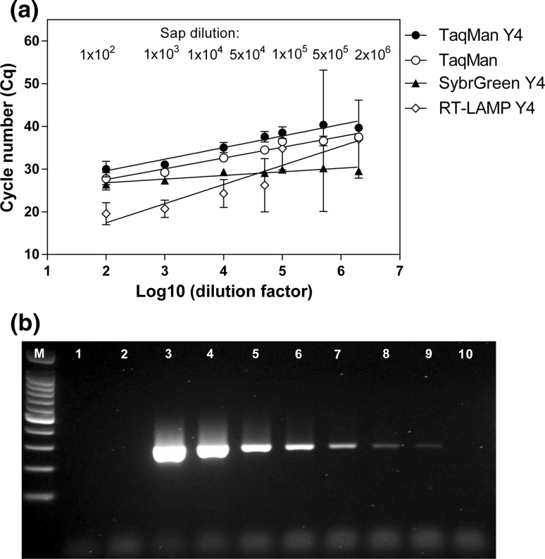 Fig. 6